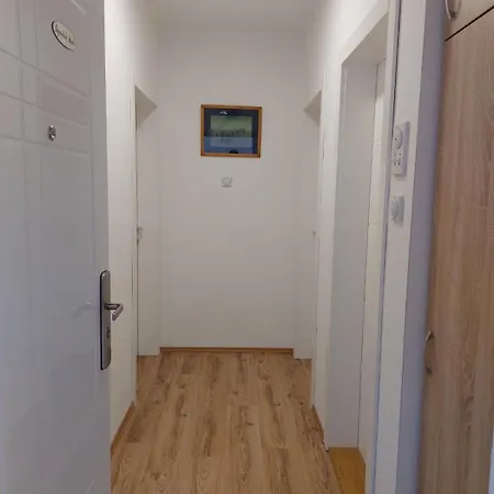 Vojinovic * 索科矿泉村