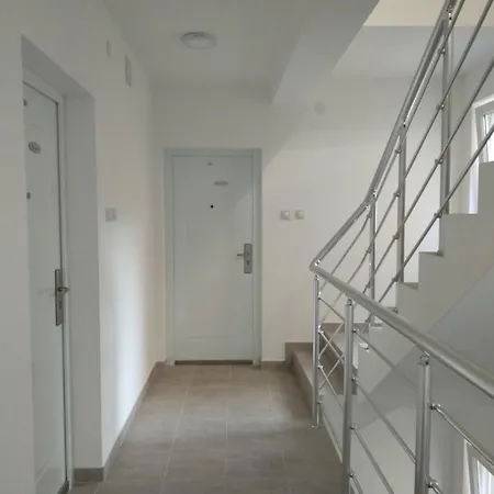 Vojinovic 索科矿泉村