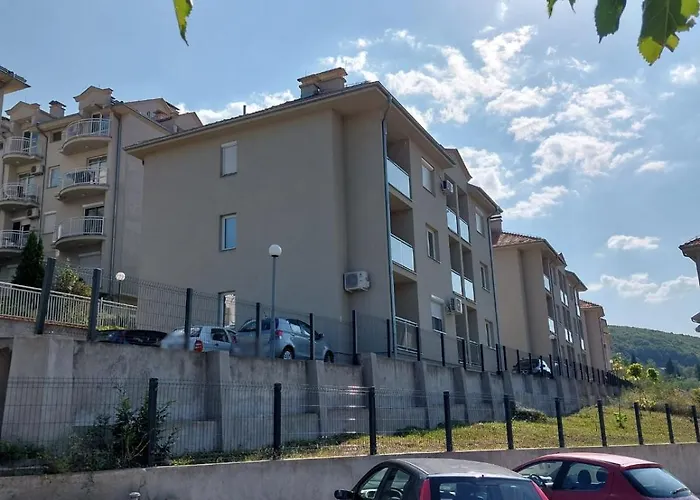 Vojinovic * ソコバニャ