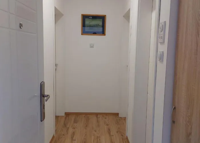 Vojinovic * ソコバニャ